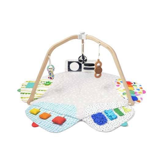 | the Play Gym | Award Winning for Baby , Stage-Based Developmental Activity Gym & Play Mat for Baby to Toddler